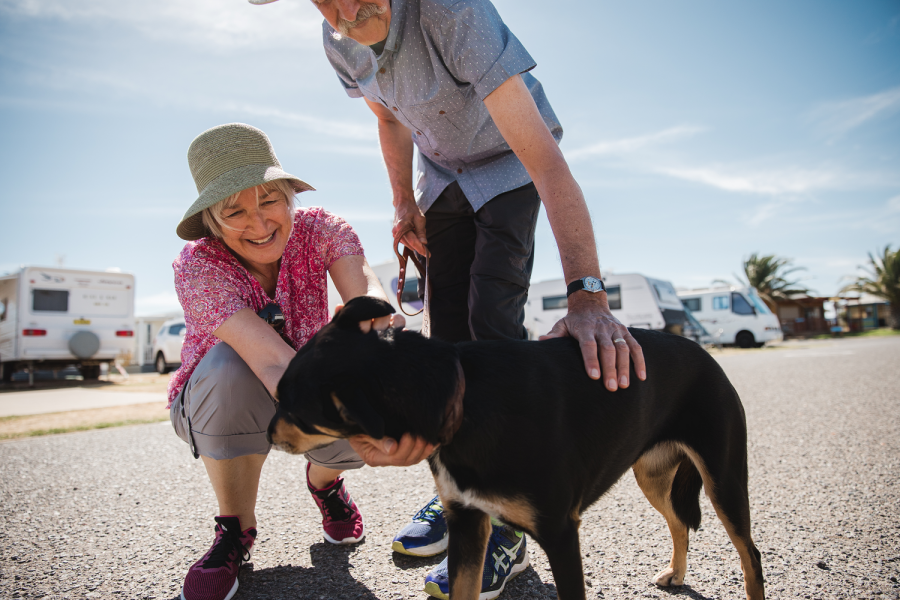 PET FRIENDLY HOLIDAY PARKS IN AUSTRALIA 