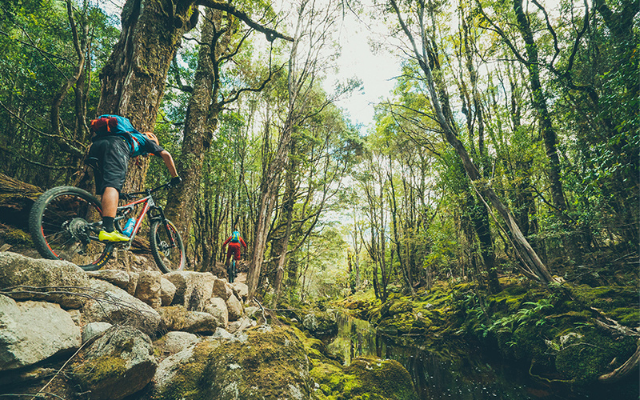 Reasons to book a tasmanian getaway mountain biking