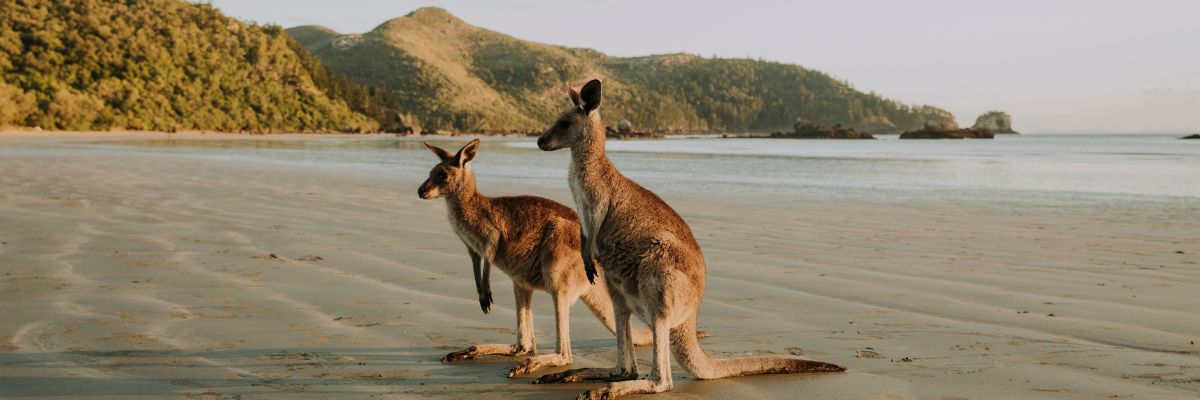 queensland