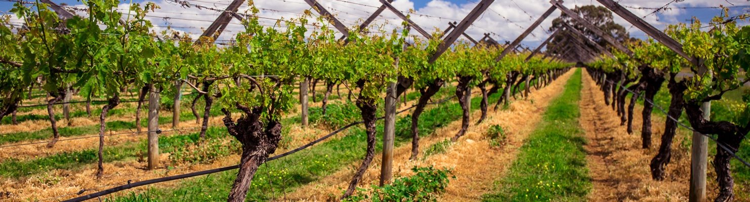 winery