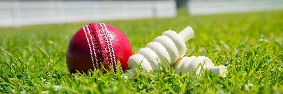 Cricket ball and bails