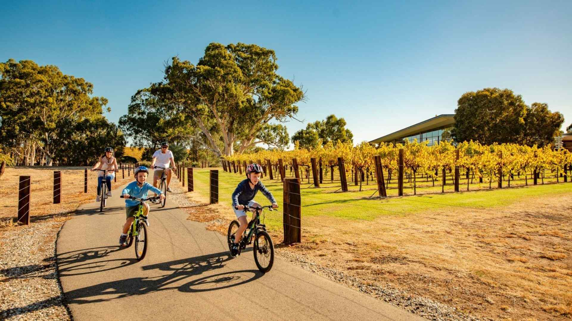 people bike riding along path