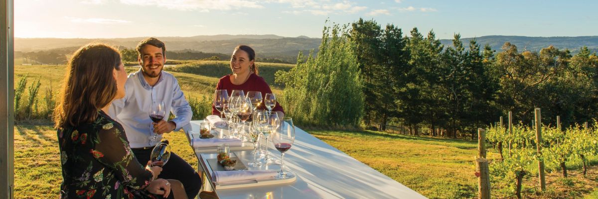budawang ranges winery with people looking at valley view