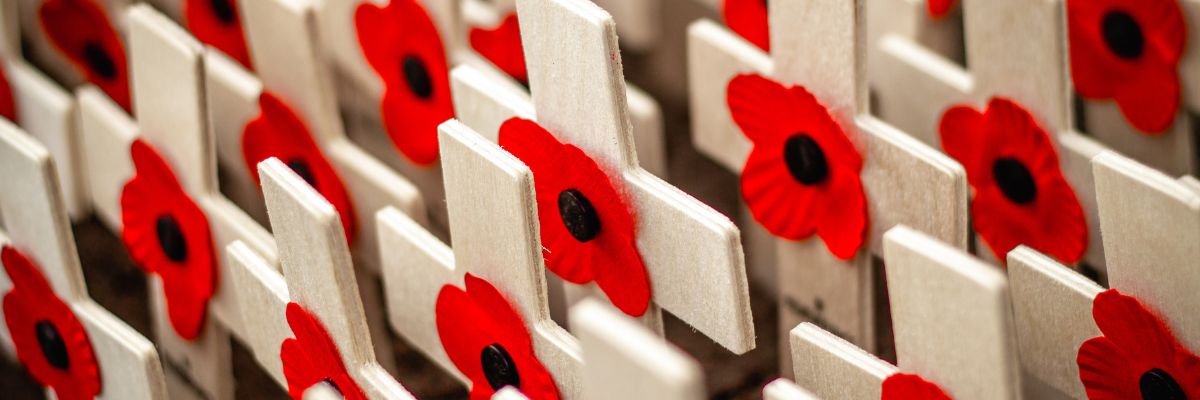ANZAC poppies